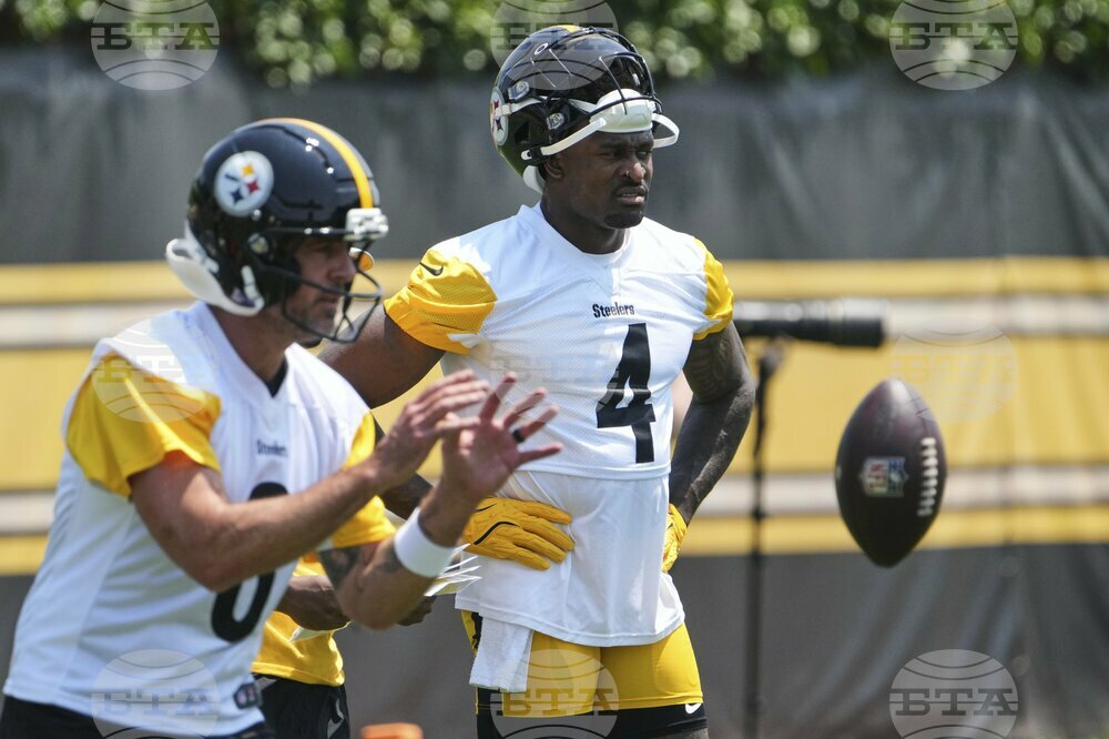 Steelers Metcalf Football
