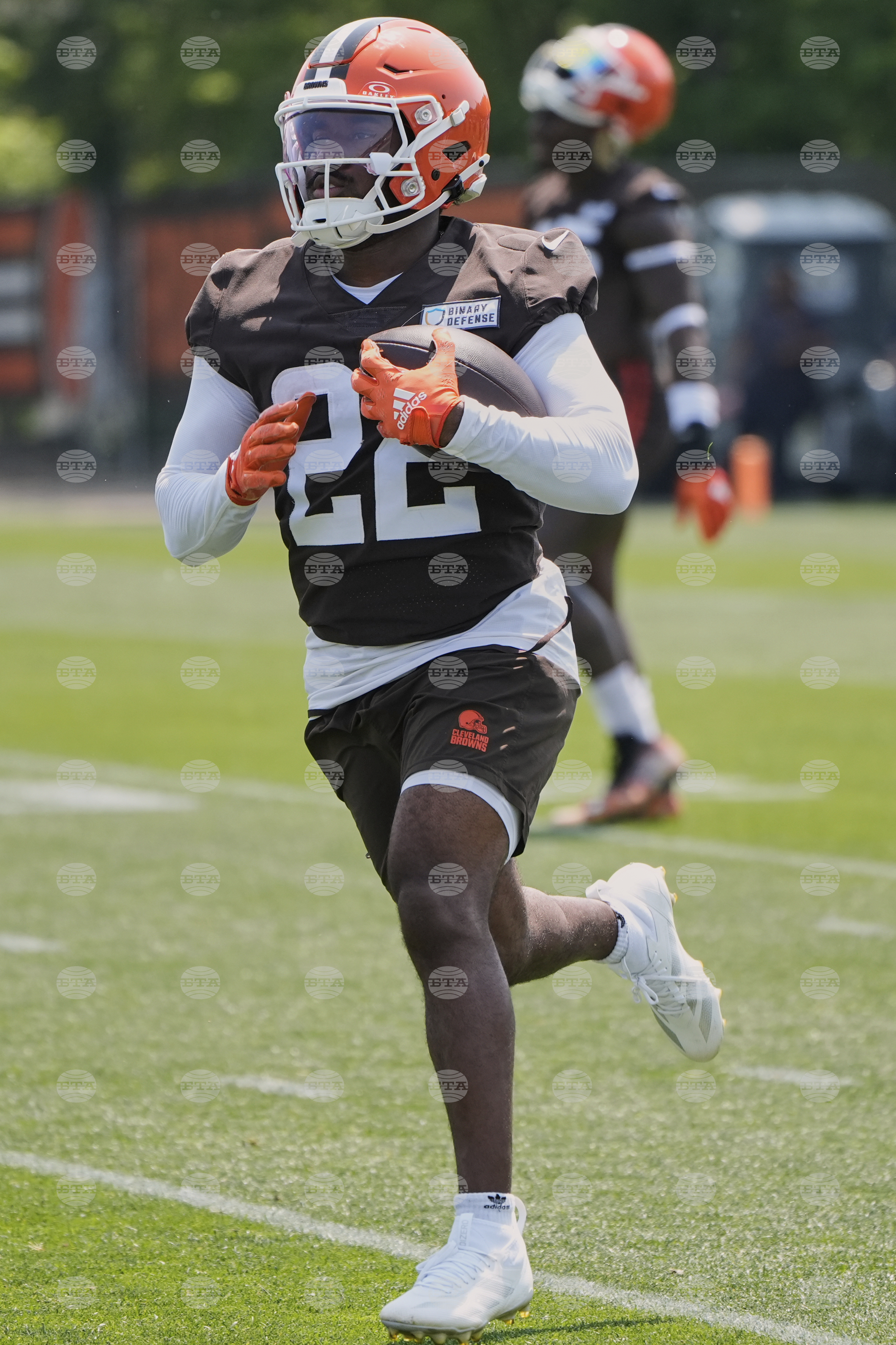 Browns Football