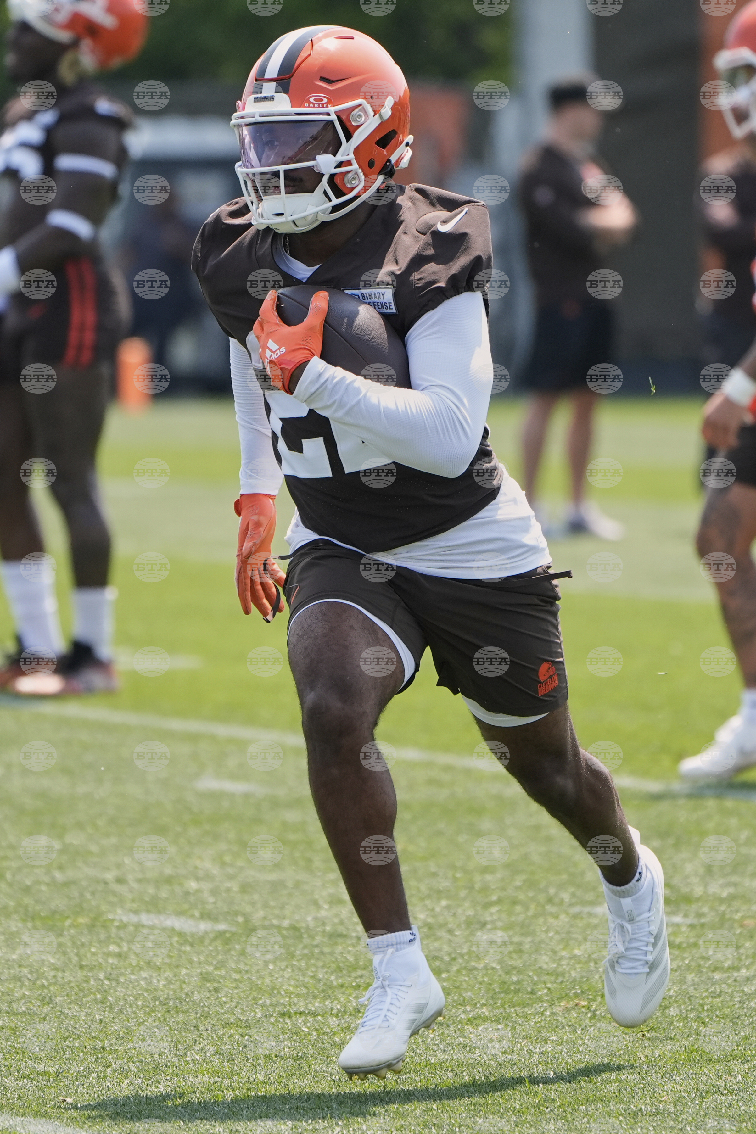 Browns Football