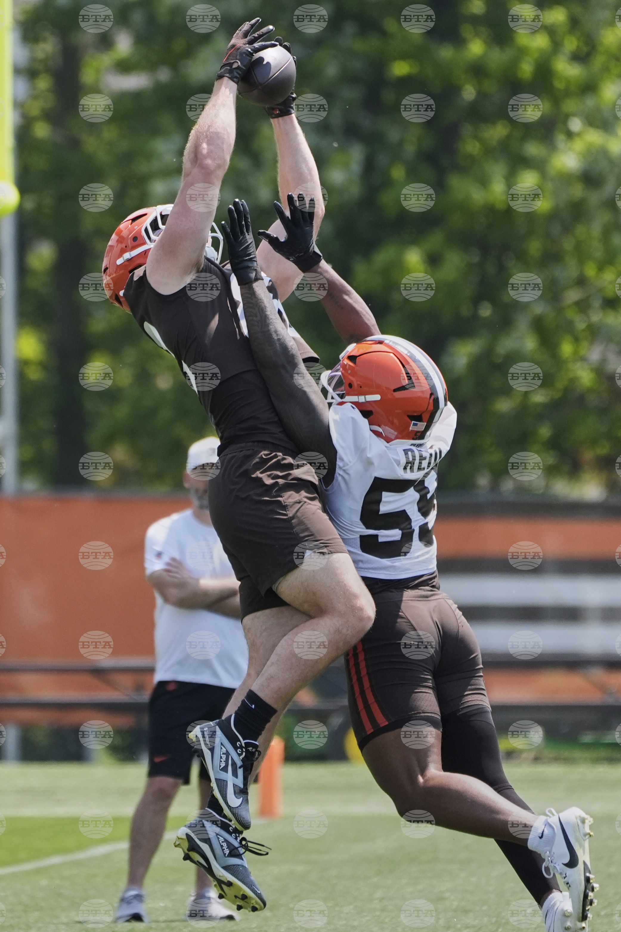 Browns Football