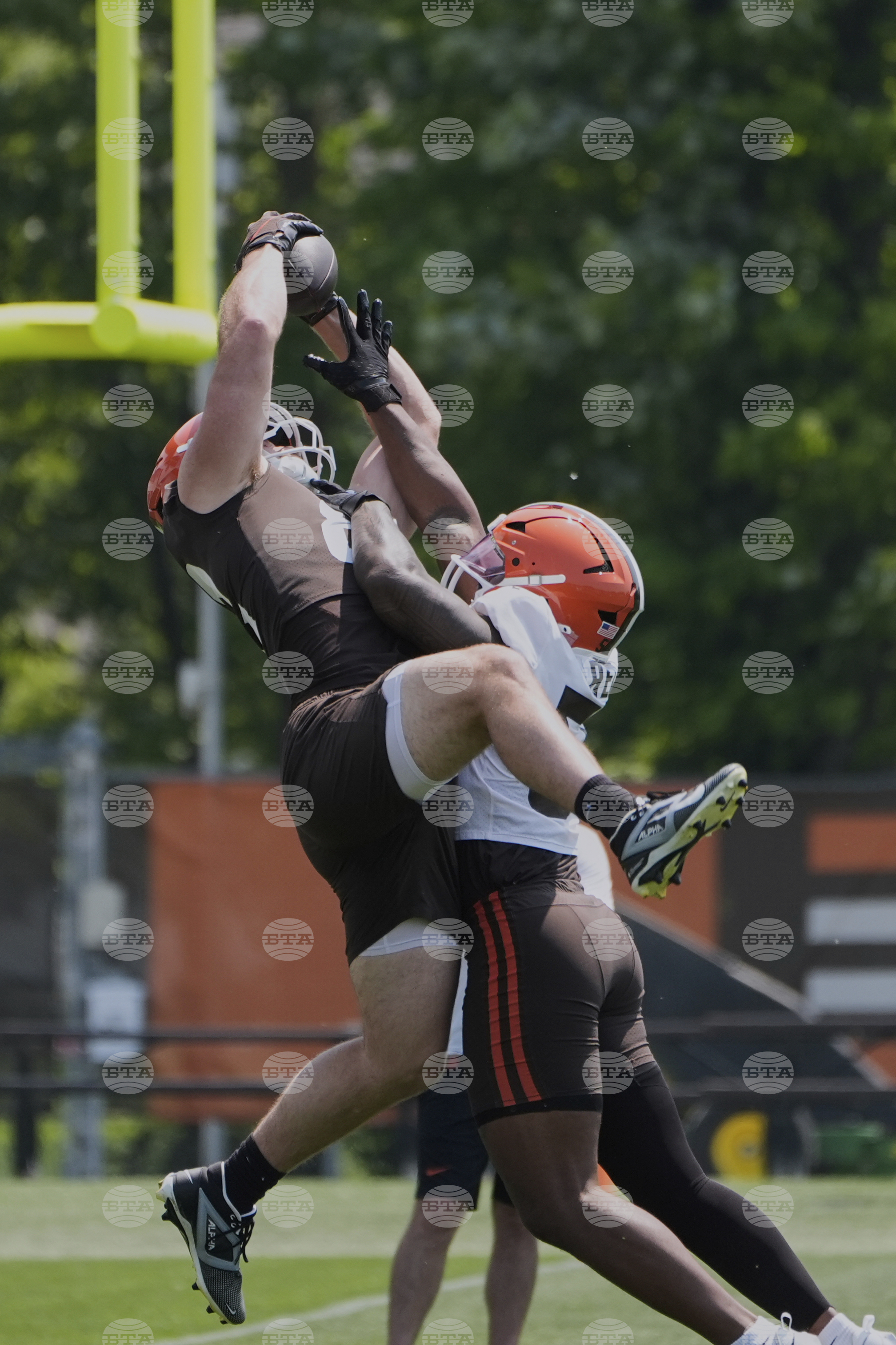 Browns Football