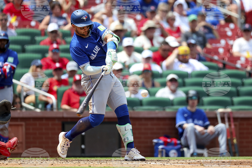 Blue Jays Cardinals Baseball