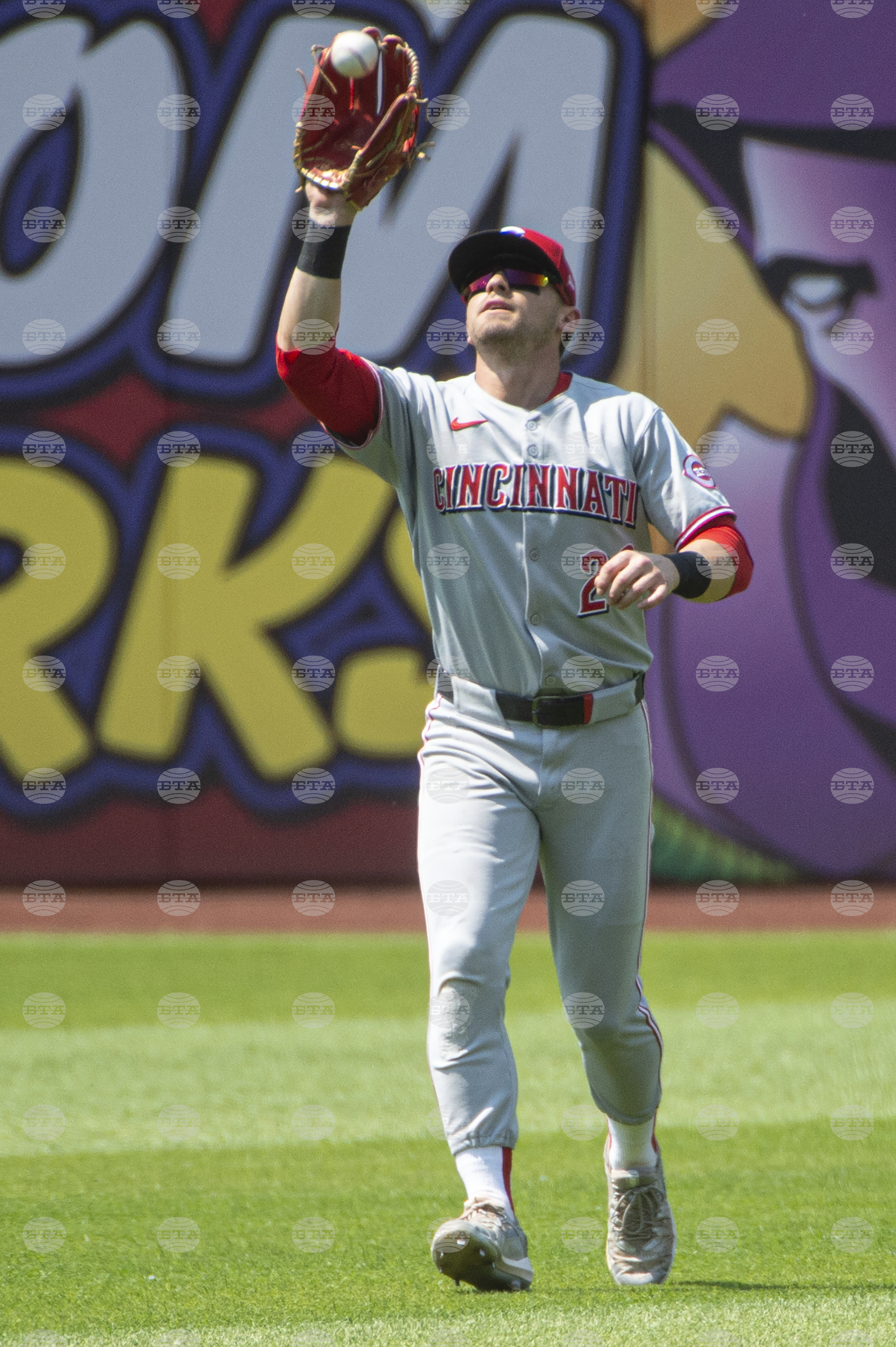 Reds Guardians Baseball