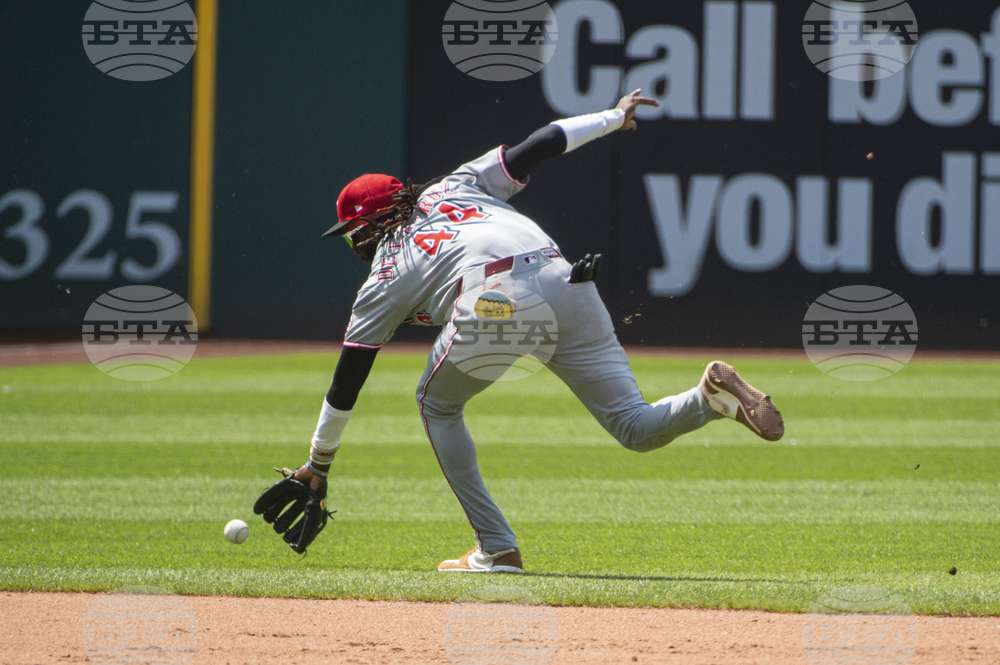 Reds Guardians Baseball