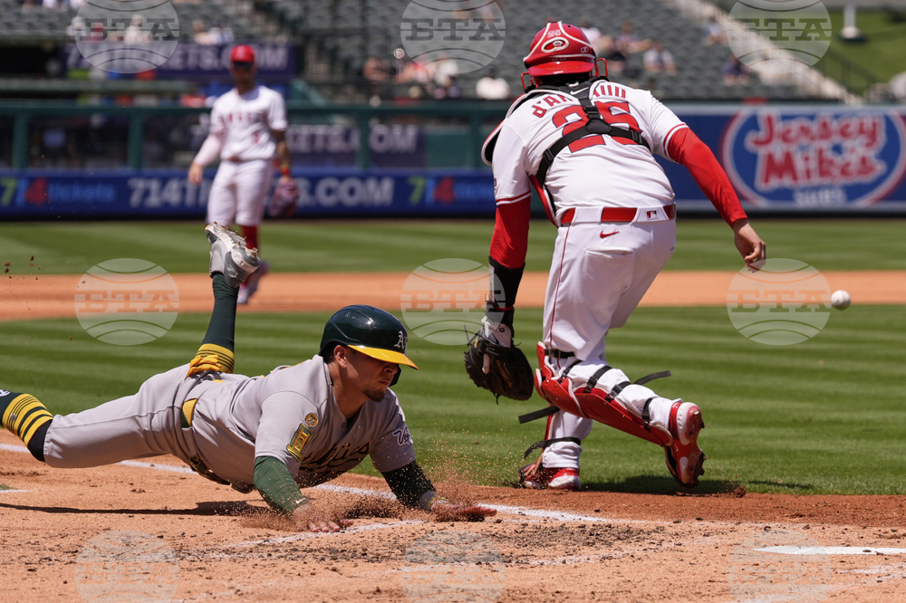 Athletics Angels Baseball