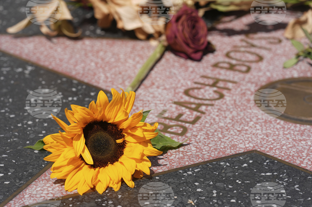 Obit Brian Wilson