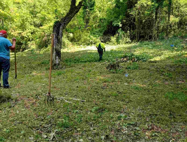 Екипи на Община Шумен почистват стъпалата и серпентините към Паметника, „Кьошковете“ и вилната зона на Пети километър 