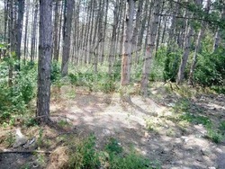 Снимка: Община Шумен