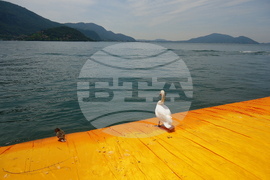 Инсталация на Кристо - „Плаващите кейове“