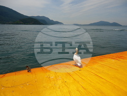 Инсталация на Кристо - „Плаващите кейове“