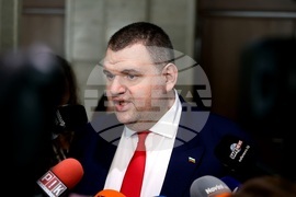 Парламент - Делян Пеевски - изявление