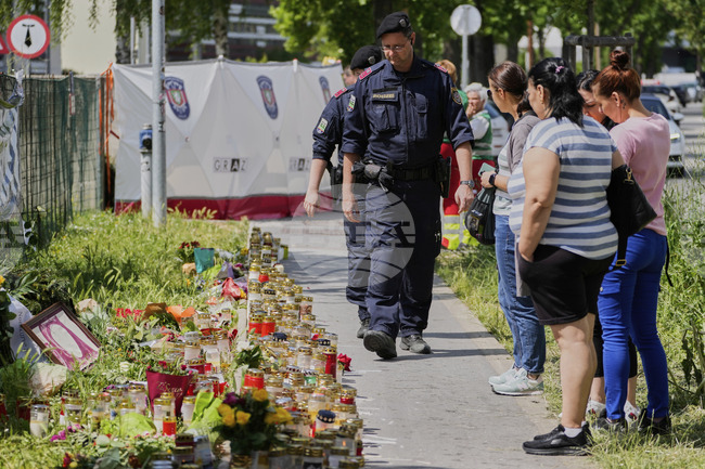 АПА: Стрелбата в училището в Грац е продължила 7 минути 