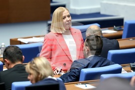 Парламент - заседание