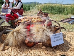 Село Търнава - откриване на жътвената кампания