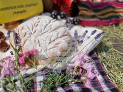 Село Търнава - откриване на жътвената кампания