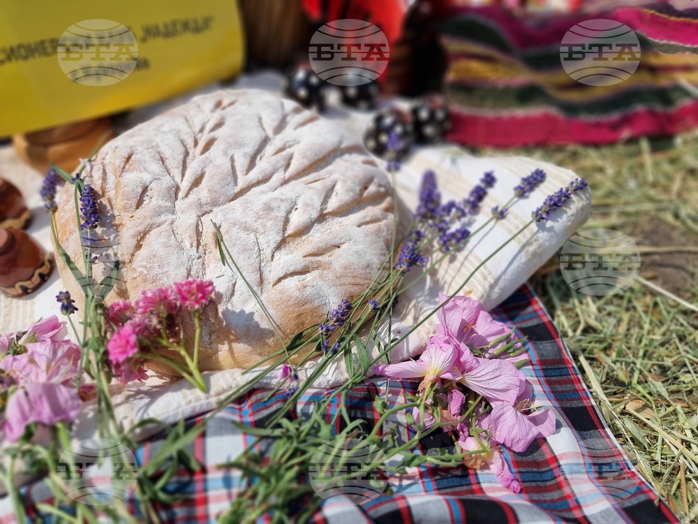 Село Търнава - откриване на жътвената кампания