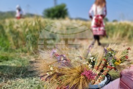 Село Търнава - откриване на жътвената кампания