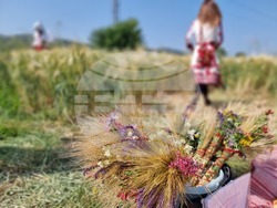 Село Търнава - откриване на жътвената кампания