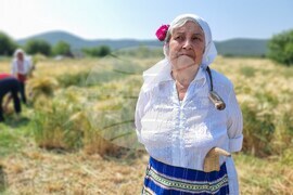 Село Търнава - откриване на жътвената кампания