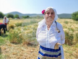 Село Търнава - откриване на жътвената кампания