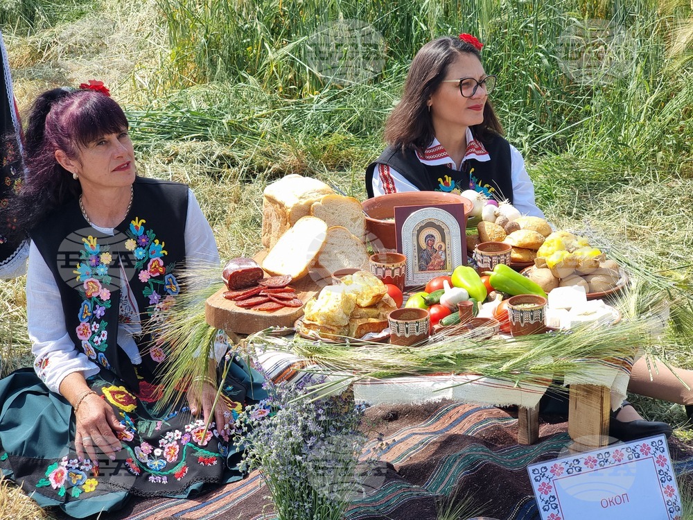Село Търнава - откриване на жътвената кампания