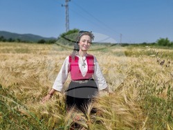 Село Търнава - откриване на жътвената кампания