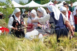 Село Търнава - откриване на жътвената кампания