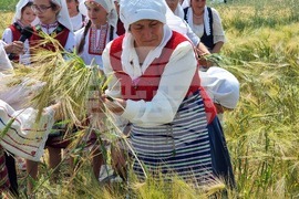 Село Търнава - откриване на жътвената кампания