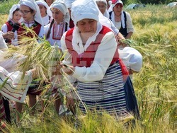 Село Търнава - откриване на жътвената кампания