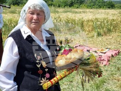 Село Търнава - откриване на жътвената кампания