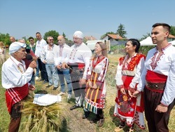Село Търнава - откриване на жътвената кампания