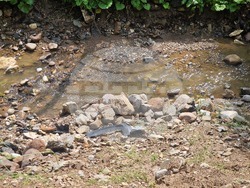 Широка лъка - катастрофа