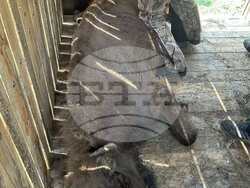 Снимка: Северноцентрално държавно предприятие ДП - Габрово