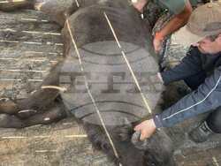 Снимка: Северноцентрално държавно предприятие ДП - Габрово