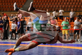 Пловдив - Държавен личен-отборен шампионат по борба