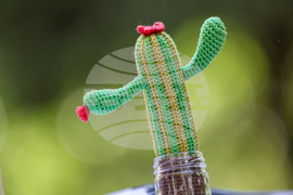 Благоевград - Благоевград плете - фестивал