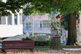 Благоевград - Благоевград плете - фестивал