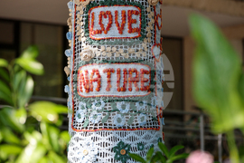 Благоевград - Благоевград плете - фестивал