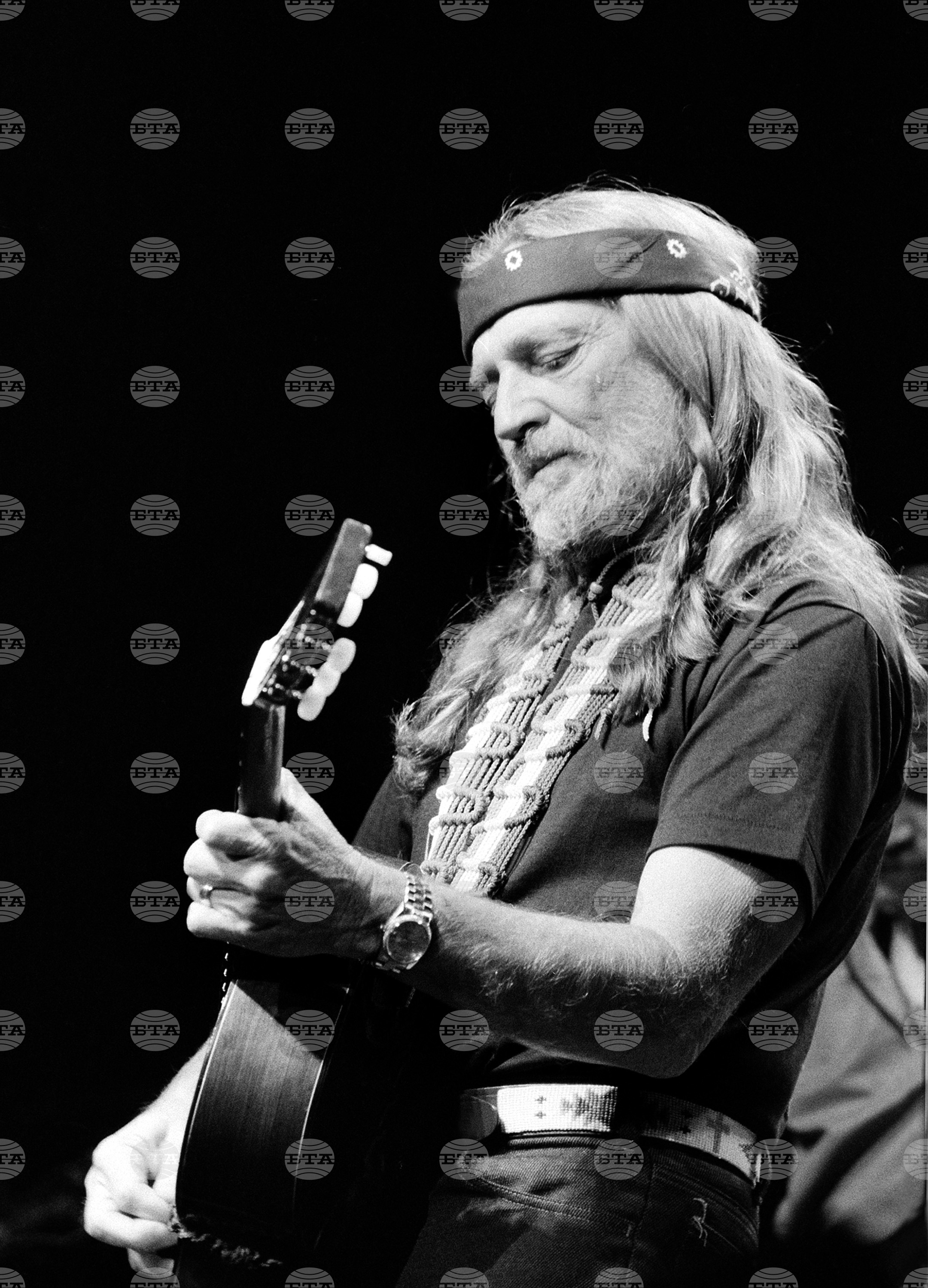 Music Willie Nelson