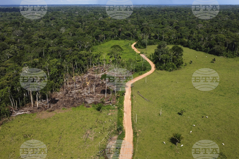 Brazil Amazon Deforestation Protest