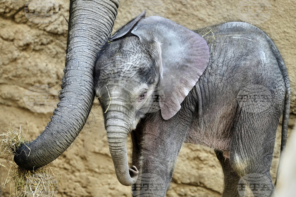 Pictures of the Week Global Photo Gallery