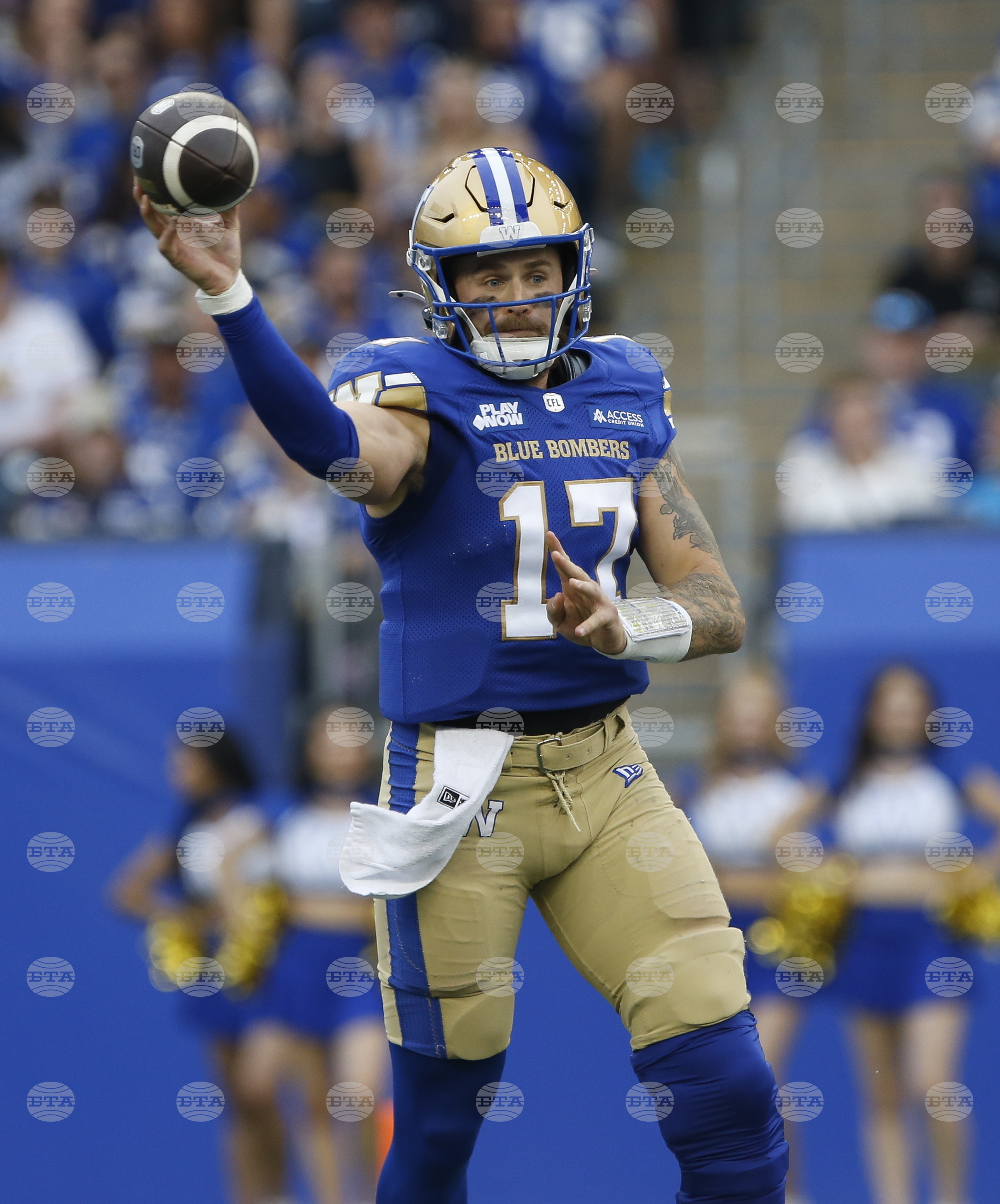 CFL Lions Blue Bombers Football