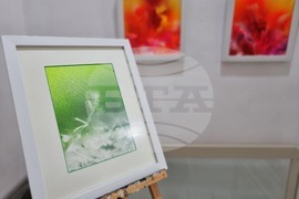 Ямбол - изложба "Светлини от жарава" на Радостина Колева