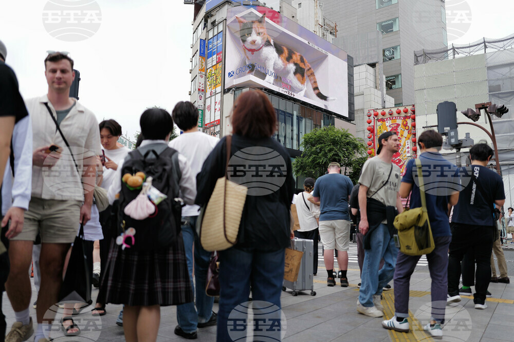 Japan Daily Life