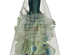 Снимка: Столична община, район Банкя