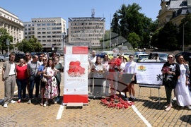 Световен ден на кръводарителя