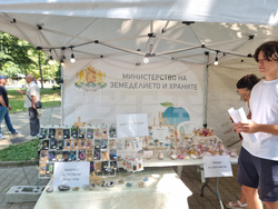 Кърджали - фермерски пазар