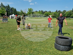 Търговище - военни игри „Бъди войник“ - ученици