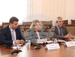 Снимка: Пресцентър Народно събрание