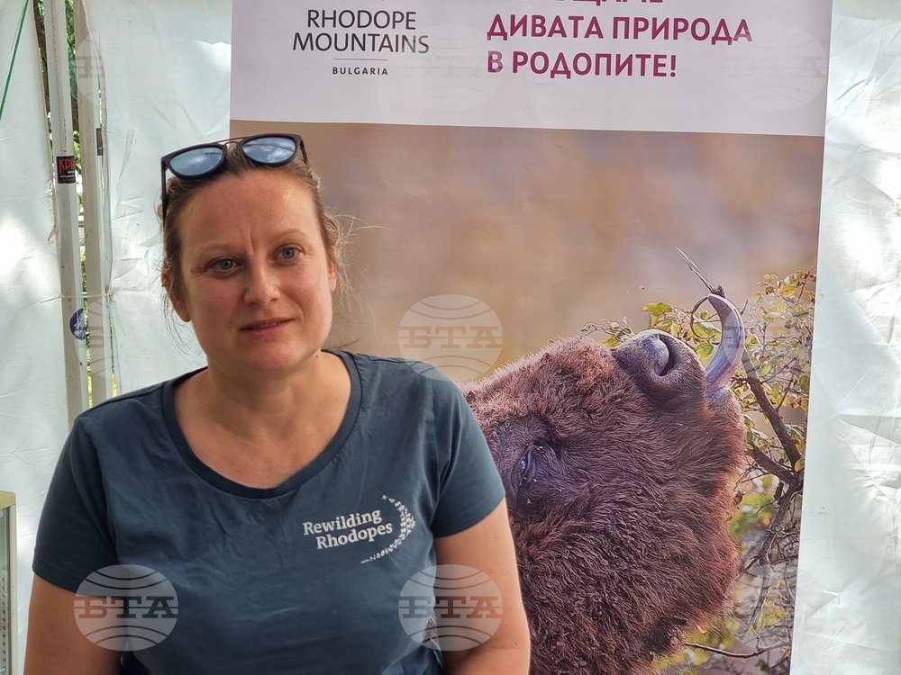 Three Bison Calves Born in Eastern Rhodope Mountains, Free-Roaming Herd Now Numbers 22